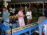 st. charles carnival 2002 opening day 047.jpg